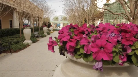 Pot of Flowers in a Garden Path Stock Footage 102572285