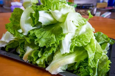Pot of fresh lettuce on the table Fotos de archivo