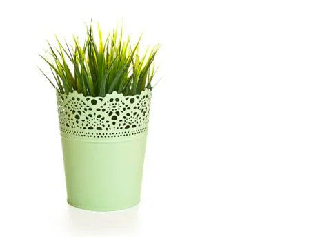Pot of grass on a white background Stock Photos