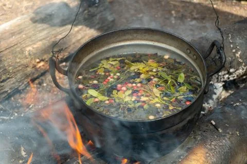 A pot with a herbal tea on campfire Stock Photos