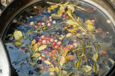 A pot with a herbal tea on the ground, a close up shot Stock Photos