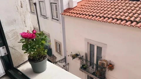 A pot of indoor roses on a windowsill overlooking the old streets and houses Stock Footage 249400441