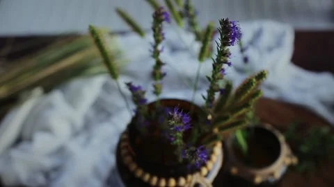 Pot with lavender and herbs Stock Footage 168842019