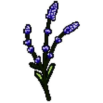 Pot lavender pixel art vector illustration Stock Illustration