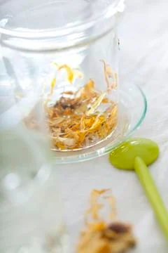 Pot marigold Stock Photos