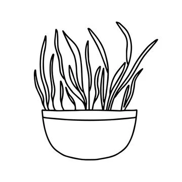 Pot of microgreens. Doodle style. Stock Illustration