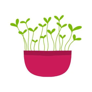 Pot of microgreens. Stock Illustration