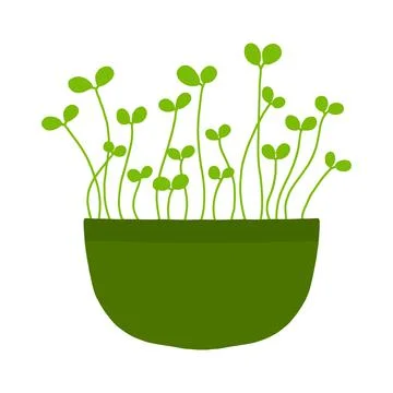 Pot of microgreens. Stock Illustration