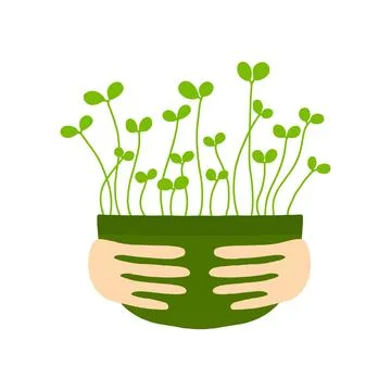 Pot of microgreens. Stock Illustration