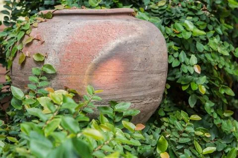 Pot or planter with plants Stock Photos