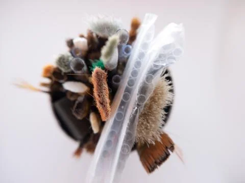 Pot of Paintbrushes Stock Photos