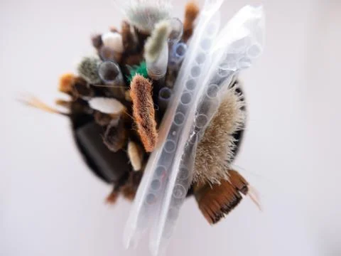 Pot of Paintbrushes Stock Photos