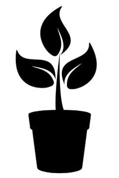 Pot Plant Stock Illustration