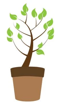 Pot Plant Stock Illustration