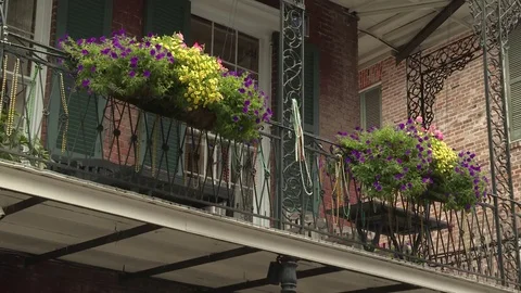 Pot plants on balcony of a building Stock Footage 84508683