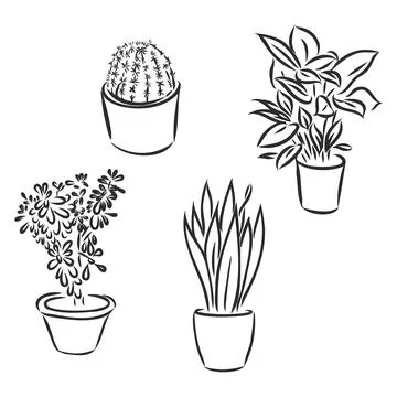 Pot plants set, vector illustration flowers in pots drawn black line on a whi Stock Illustration