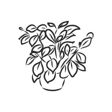 Pot plants set, vector illustration flowers in pots drawn black line on a whi Stock Illustration