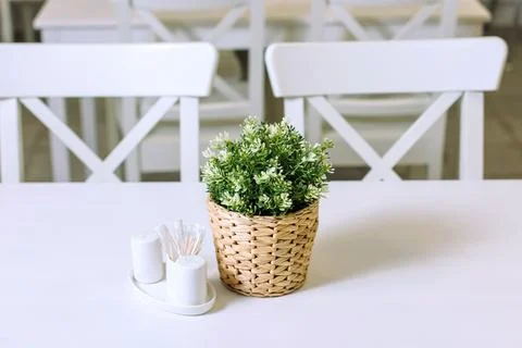 A pot of plastic plants, on a table in a wicker pot-2. 스톡 사진