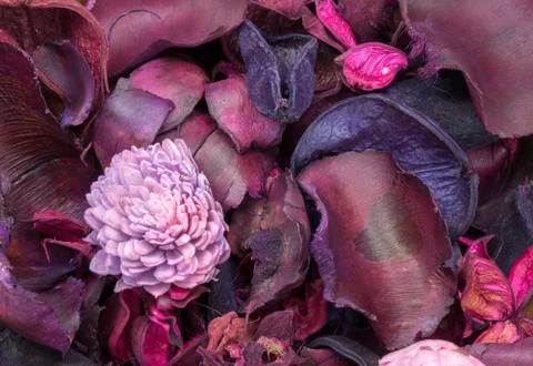 Pot Pourri background Stock Photos