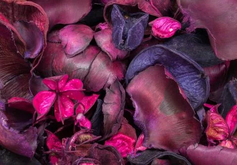 Pot Pourri background Stock Photos