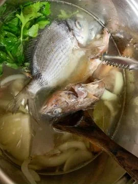 Pot with prepared to make fish broth. With fresh fish caught the same day. Va Stock Photos