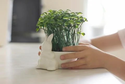 Pot in the shape of an Easter Bunny with grass in child's hands Stock Photos