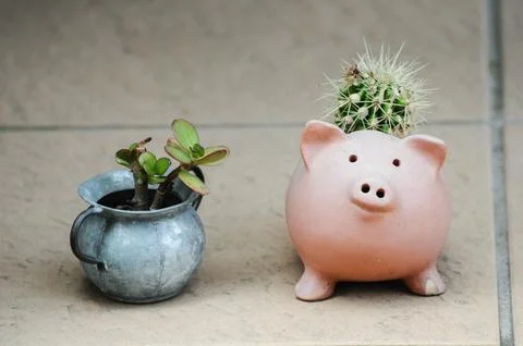 A pot in the shape of a pig with a small cactus inside, in a shop in Tokyo,.. Foto stock