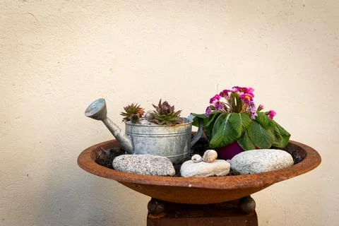 A pot with small plants inside and a watering can Stock Photos