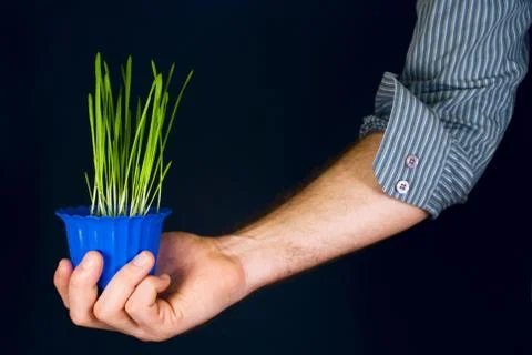 Pot of sprouts in hand Stock Photos