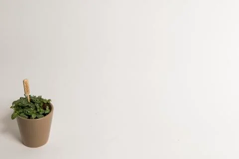 Pot in studio Foto stock