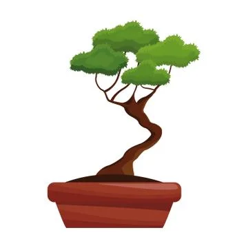 Pot tree bonsay longevity botanical hobby Stock Illustration