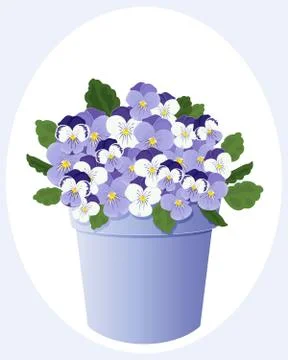 Pot of violas Illustrazione stock