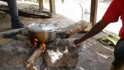 Pot in a wood fire Stock Footage 80461617