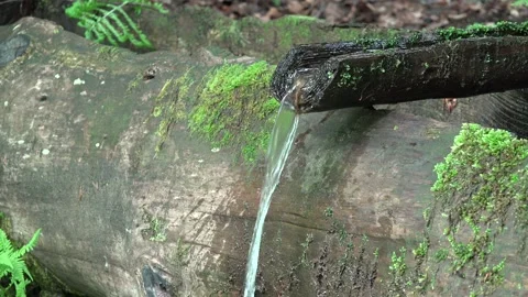 Potable Water from Mountains River in Forest, Drinkable Water Flowing in Trough Vidéo 230873570