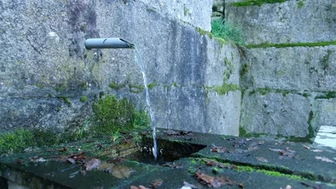 Potable water spring 스톡 동영상 161588877