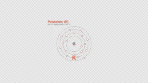 Potassium K Bohr Atom Model Labeled Animation Video Overlay Alpha 4K Stockbeeldmateriaal 339371318