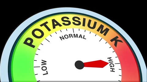 Potassium K Level Text or Word  Low and Medium to High Meter Concept Stock Footage 288553360