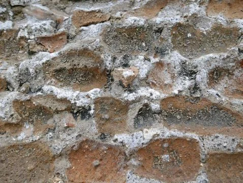 Potassium nitrate on ancient wall Stock Photos