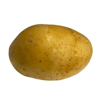 Potato 01 Фото