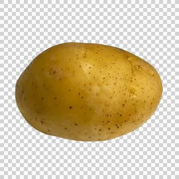 Potato 01 Fotos de archivo