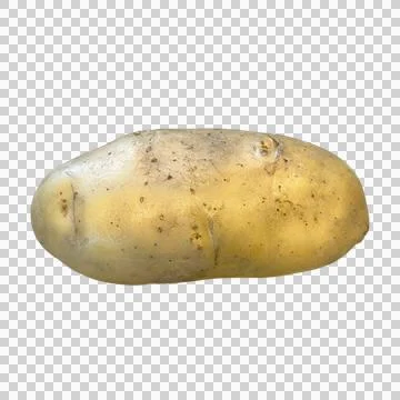 Potato-1 写真素材