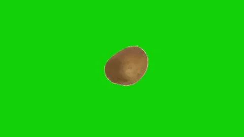 Potato animation on green screen 库存影片 333560820