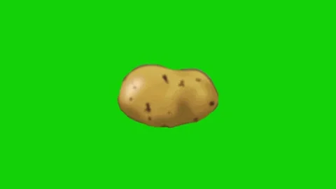 Potato animation on green screen 動画素材 333560828