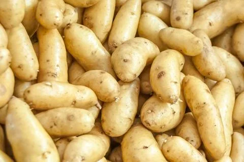 Potato background Stock Photos