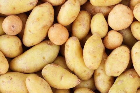 Potato background Stock Photos