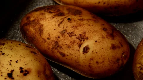 Potato is being boiled Stock Footage 252791660