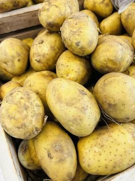 Potato in box Stock Photos