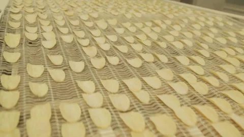 Potato Chip Production Line Stock Footage 157746166