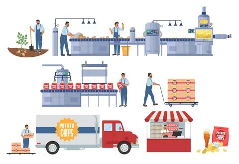 Potato chips production vector infographic. Harvesting. Processing and packaging 스톡 일러스트