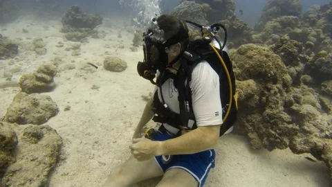 A potato cod coming through Stock Footage 82660667